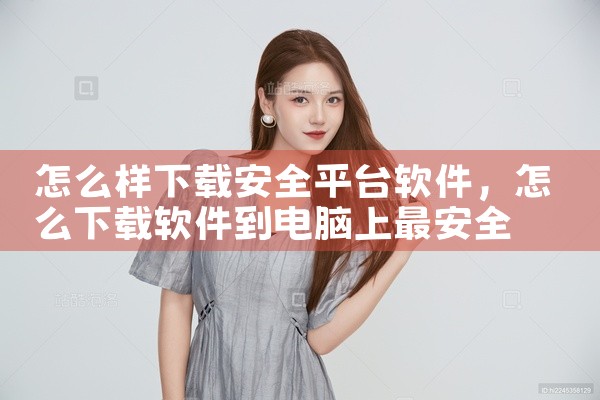 怎么样下载安全平台软件