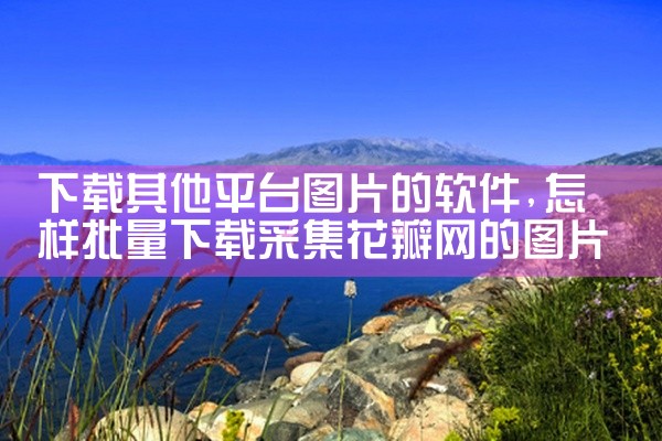 下载其他平台图片的软件