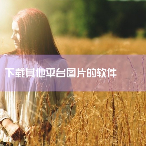 以下为你介绍一些无需登录的下载软件：一、Internet Download Manager（IDM）1. 特点：它是一款功能强大的下载工具。支持多线程下载，能显著提升下载速度。可自动捕捉网页中的下载链,