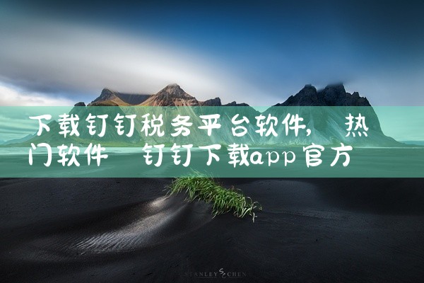 下载钉钉税务平台软件