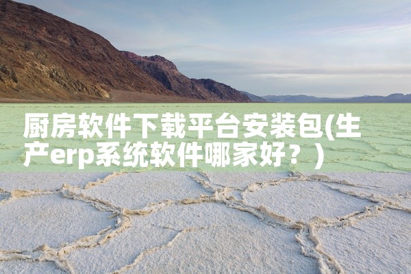 厨房软件下载平台安装包
