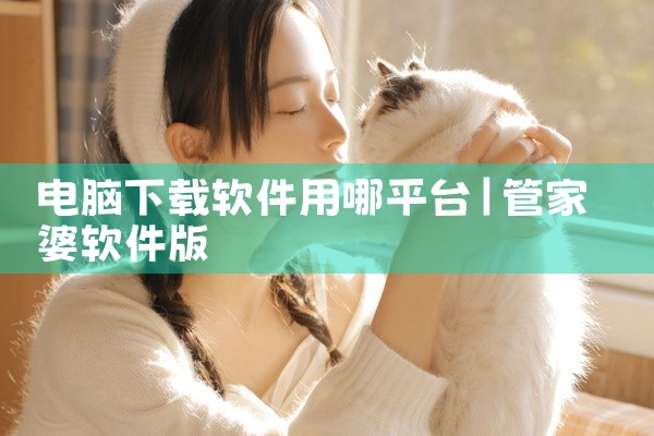 电脑下载软件用哪平台