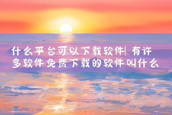 什么平台可以下载软件