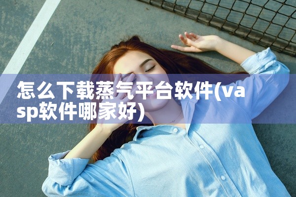 怎么下载蒸气平台软件