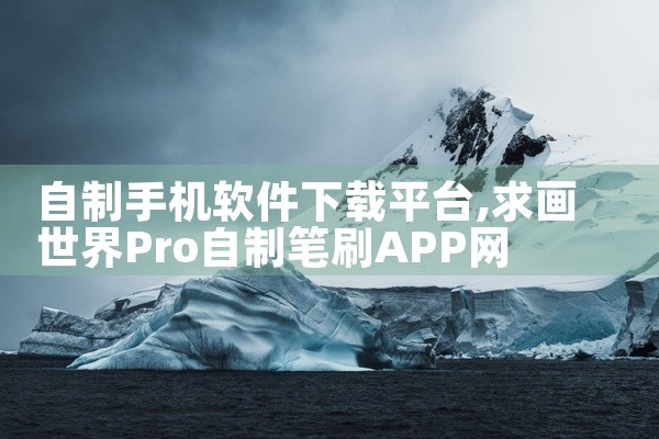 自制手机软件下载平台