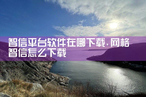智信平台软件在哪下载