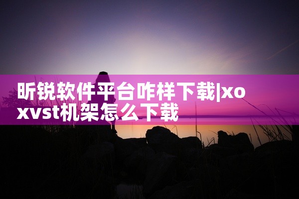 昕锐软件平台咋样下载