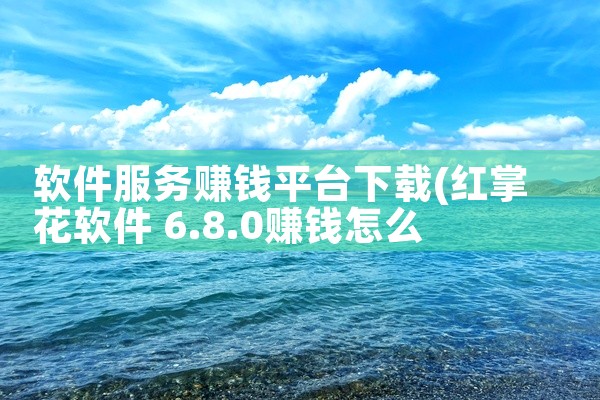 软件服务赚钱平台下载