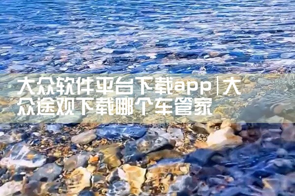 大众软件平台下载app