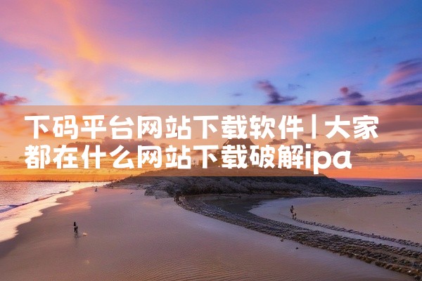 下码平台网站下载软件